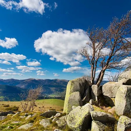 Σπίτι διακοπών Chez Mimie