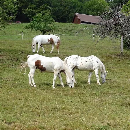 Σπίτι διακοπών Chez Mimie