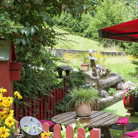 Chez Mimie * Breitenbach-Haut-Rhin