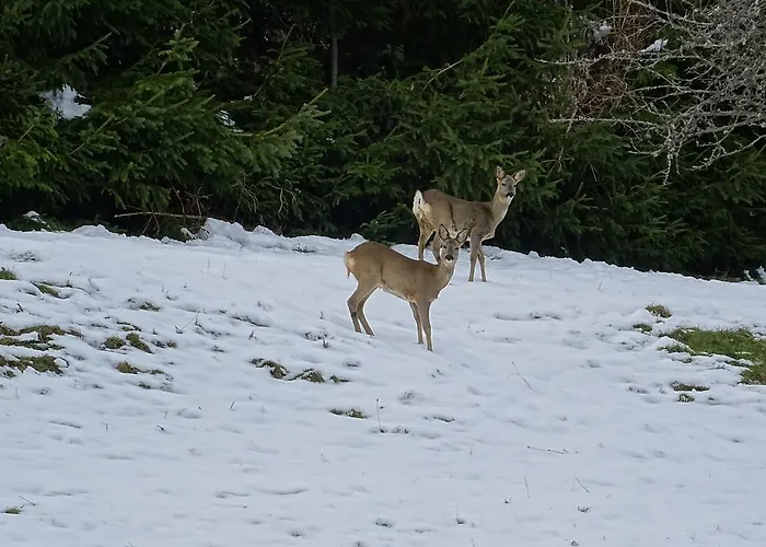 Vakantiehuis Chez Mimie