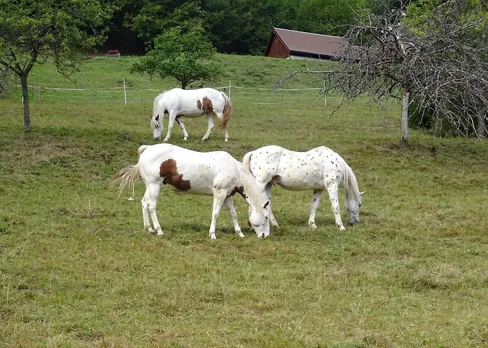Vakantiehuis Chez Mimie
